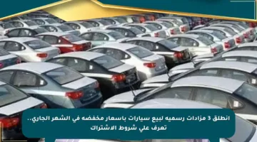 انطلق 3 مزادات رسمية لبيع سيارات بأسعار مخفضة في الشهر الجاري.. تعرف على شروط الاشتراك